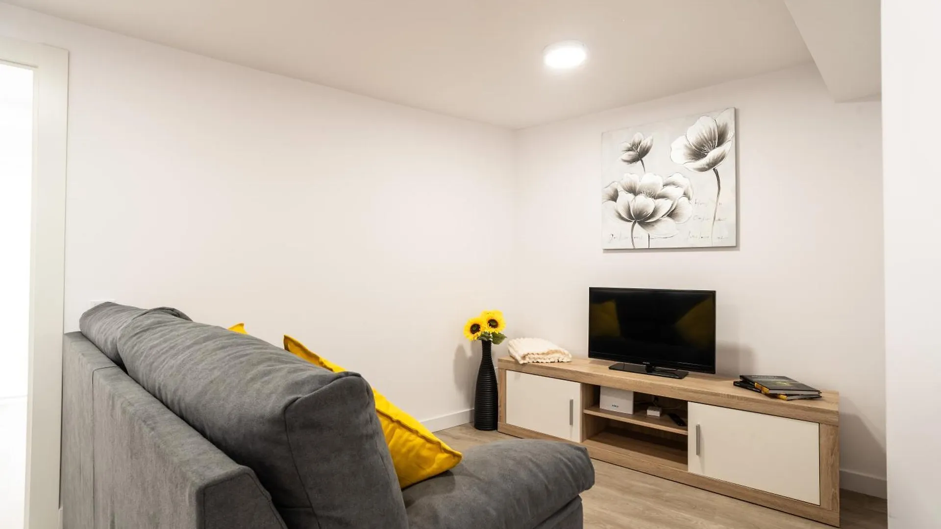 Piso Nuevo En El Centro De Santander Apartment Spain